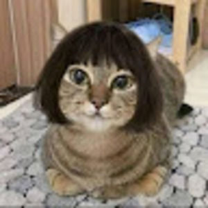 Meet your Posher, Marianna